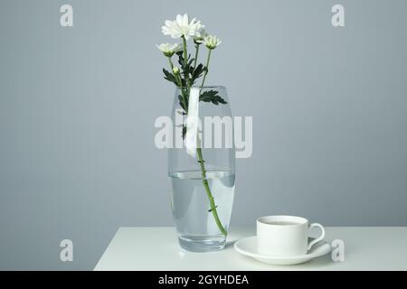 Vase mit Chrysanthemen und Tasse Kaffee auf weißem Tisch. Stockfoto