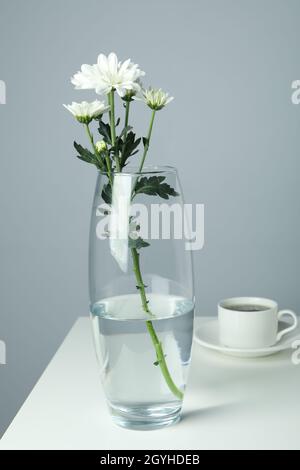 Vase mit Chrysanthemen und Tasse Kaffee auf weißem Tisch. Stockfoto