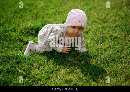 Ein nettes kleines Mädchen in einem schönen Kleid kriecht auf dem grünen Gras. Sonniger herbstlicher warmer Tag. Stockfoto