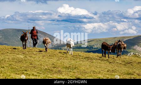 Rumänischer Hirte in den karpaten Stockfoto