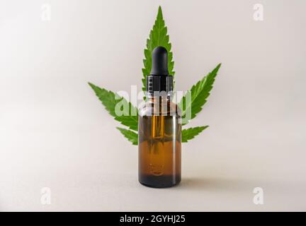 Hanfessenz, Flüssigkeit oder Öl in Glasflasche mit Pipette Stockfoto