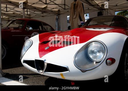 Italien, september 11 2021. Vallelungaklassiker. Vintage Motorsport, 60er Jahre Auto Alfa Romeo Giulia TZ glänzendes Detail, vordere Haube mit Logo Markennamen Stockfoto