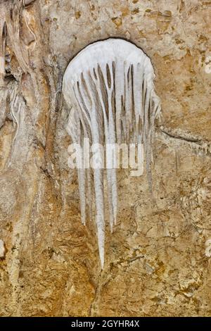 Neugieriger Stalaktit mit Quallen-Form. Campanet Höhlen auf Mallorca. Spanien Stockfoto