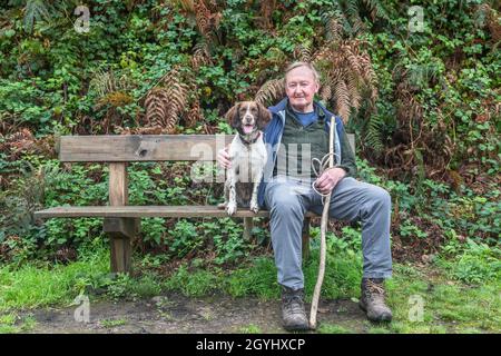 Currabinny, Cork, Irland. Oktober 2021. Mike Dwyer aus Glenbrook mit seinem springer-Spaniel Bella sitzt während ihres Spaziergangs in Currabinny Woods, Co. Cork, Irland, zur Rast. - Bild; David Creedon / Alamy Live News Stockfoto