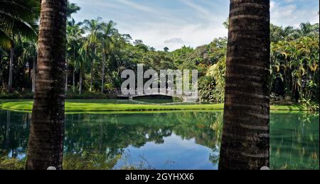 BRUMADINO, MINAS GERAIS, BRASILIEN - 17. JANUAR 2018: Teilansicht des Sees im Instituto Inhotim (Inhotim-Institut) Stockfoto