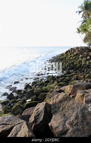 Blick auf die mit Moos bedeckten Felsen am Strand Stockfoto