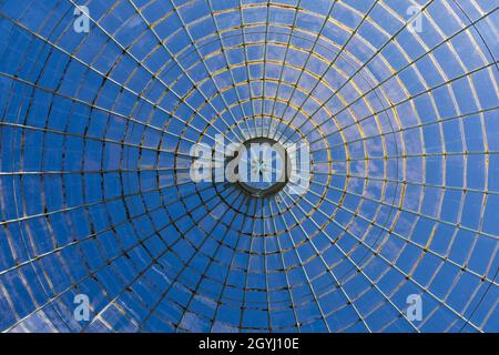 Detail aus der Glaskuppel in der Grotto Fernery, Swiss Garden, Shuttleworth Collection, Old Warden, Bedfordshire, England. Stockfoto