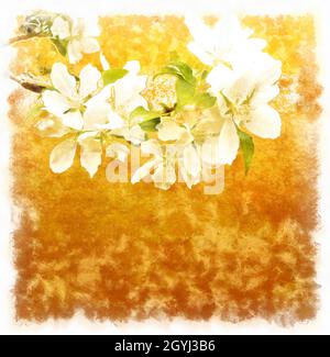 Aquarellblumen auf gelbem Hintergrund Stockfoto