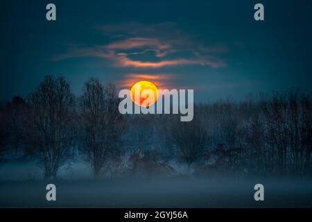 Der Vollmond Ende November steigt hinter einem nebligen Wald auf dem Land in der Nähe von Scalenghe im Piemont, Italien Stockfoto