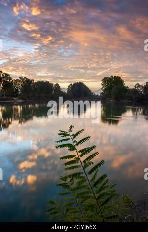 Am Abend Ende Oktober am Po-Flussufer in der Nähe von Carignano im Piemont, Italien. Stockfoto