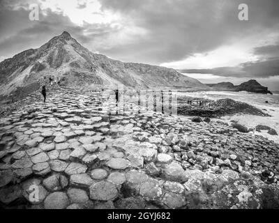 Der Giant's Causeway ist ein Gebiet mit etwa 40,000 ineinanderschließenden Basaltsäulen in der Grafschaft Antrim an der Nordküste von Nordirland. Stockfoto