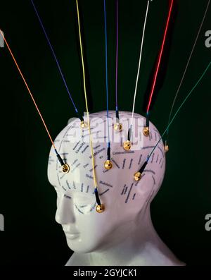 Konzeptionelles Bild mit modernen EEG-Elektroden (Elektroenzephalogramm), die an einem phroenologischen Kopf der Töpferei angebracht sind. Stockfoto