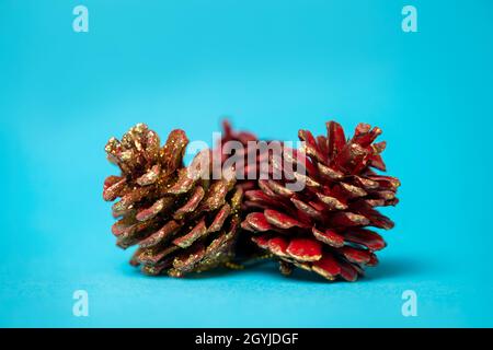 tannenzapfen auf blauem Hintergrund Stockfoto