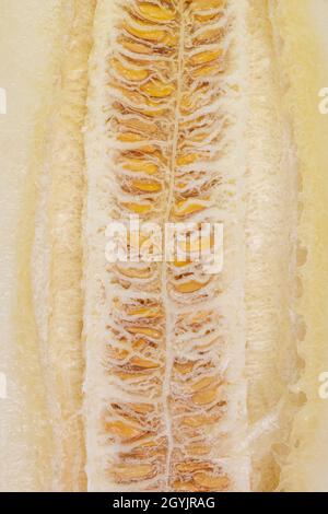 Close-up halbiert reife Melone zeigt Zeilen Samen. Cut melone Textur Stockfoto