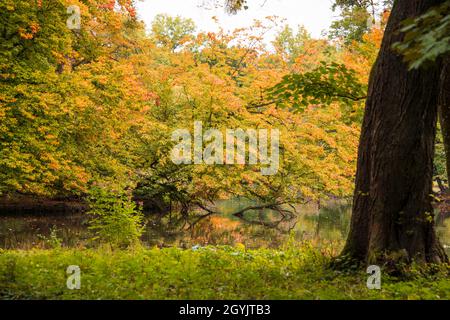 Romantische Farben des Herbstes im Park an einem Herbsttag Stockfoto