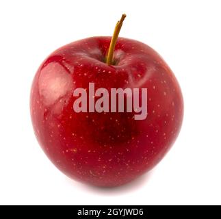 Ein reifer roter Apfel. Isoliert auf weißem Hintergrund. Stockfoto