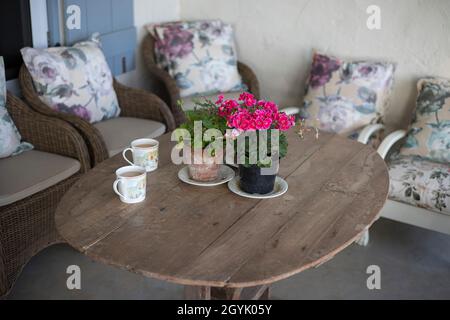 Zwei Tassen heißen Tee auf einem rustikalen Holztisch, Topfpflanzen und fünf Morris-Stühle. Stockfoto