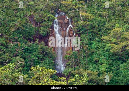 Alexandra Falls, im Black River Gorges National Park, Mauritius, Mascarene Islands. Stockfoto