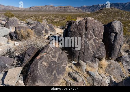 Ein Roadrunner und anthropomorphe Figuren, die auf einem Basaltsteinblock in der Petroglyph-Stätte Three Fluers in New Mexico geschnitzt wurden. Stockfoto