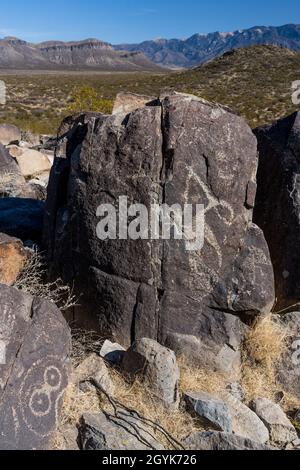 Ein Roadrunner mit einer Schlange, die auf einem Basaltsteinblock in der Petroglyph-Stätte Three Fluers in New Mexico geschnitzt wurde. Stockfoto