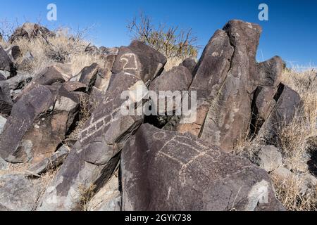 Ein Adler- oder Falkenkopf und andere Figuren, die auf Basaltbrocken in der Three-Fluss-Petroglyph-Stätte in New Mexico geschnitzt wurden. Stockfoto