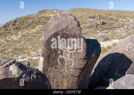 Ein Insekt, das auf einem Basaltsteinblock in der Petroglyph-Stätte Three Flucts in New Mexico geschnitzt wurde. Stockfoto