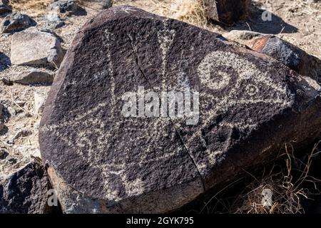 Ein Dickhornschafe, durchbohrt von Pfeilen, die auf einem Basaltsteinblock in der Petroglyph Site Three Flusses, New Mexico, geschnitzt wurden. Stockfoto