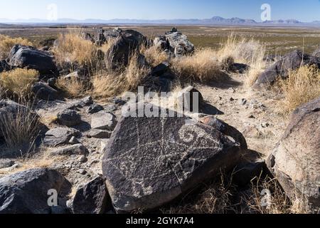 Ein Dickhornschafe, durchbohrt von Pfeilen, die auf einem Basaltsteinblock in der Petroglyph Site Three Flusses, New Mexico, geschnitzt wurden. Stockfoto