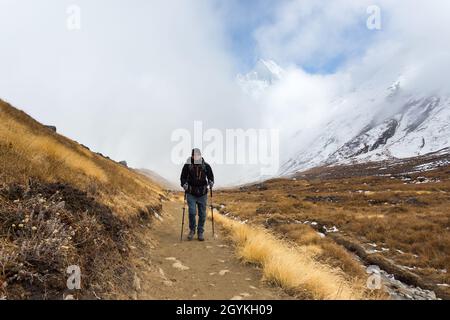 Annapurna, Nepal - 09. November 2018: Tourist auf dem Weg zum Annapurna Basislager, Himalaya, Nepal. Stockfoto