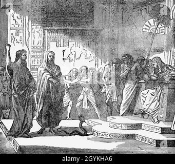 Eine Illustration aus dem Buch Genesis von Moses und Aaron aus dem späten 19. Jahrhundert, die die Pharoh des Gerichts Gottes ankündigt, um die Israeliten aus Sklaverei und Gefangenschaft zu befreien. Der Pharao weigerte sich, auf Gottes Forderung zu hören, bis eine Reihe von schweren ökologischen Katastrophen seine Meinung veränderte. Stockfoto