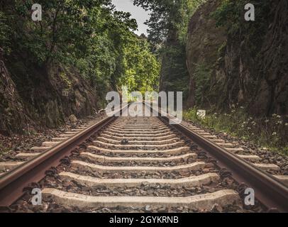 Endlose Gleise der Eisenbahn auf einer stillenen Strecke mitten im Wald und in den Felsen in der Tschechischen Republik. Stockfoto