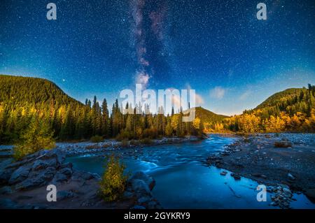 Eine Nachtszene der Sommer-Milchstraße, die über dem Elbow River im Kananaskis Country im Süden Albertas an einem herrlichen Herbstabend liegt Stockfoto