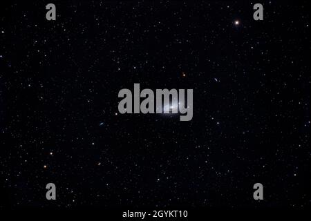 Messier (M) 63, die Sonnenblumengalaxie in Canes Venatici am nördlichen Frühlingshimmel. Dies ist ein schönes Beispiel für eine „flockende“ Spiralgalaxie mit dicht Stockfoto