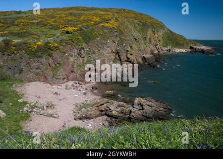 Kleine Sandbucht bei Castlehill Point, Rockcliffe, Dumfries & Galloway, Schottland Stockfoto