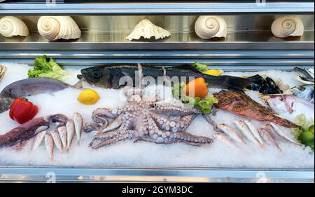 Frischer Fisch Auf Dem Display Nafplion Peloponnes Griechenland Stockfoto