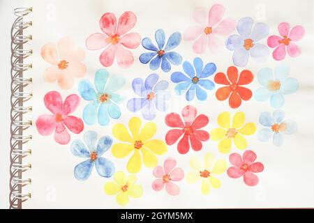 Niedliche Aquarellblumen in verschiedenen Farben auf einem weißen Papieralbum. Hand gezeichnet glücklich floralen Hintergrund. Stockfoto