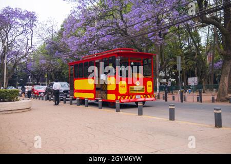 Klassische rote und gelbe Trolley-Autos und Jacaranda-Bäume in Condesa, Mexiko-Stadt Stockfoto