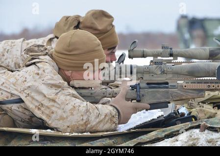 US-Marineinfanteristen vom 2. Bataillon, 3. Regiment, 3. Marine Division, führen während der Übung Northern Viper auf dem Hokudaien Training Area, Hokkaido, Japan, am 28. Januar 2020, eine bilaterale Scharfschützengewehr-Reichweite mit Soldaten der 5. Brigade, Japan Ground Self-Defense Force durch. Northern Viper ist eine regelmäßig geplante Trainingsübung, die die Interoperabilität der US- und Japan-Allianz verbessern soll, indem sie es Marine Air-Ground Task Forces der III Marine Expeditionary Force ermöglicht, ihre Letalität und Kompetenz in MAGTF Combined Arms Operations bei kaltem Wetter aufrechtzuerhalten. Stockfoto