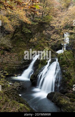 Der Wasserfall von Colwith Force in Langdale, im englischen Lake District Stockfoto