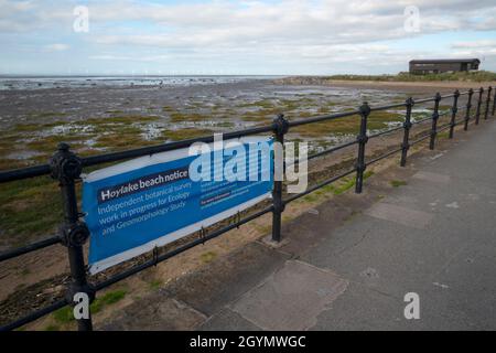 Invasive Grasarten Spartina anglica am Hoylake Strand Stockfoto