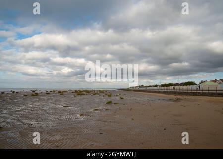 Invasive Grasarten Spartina anglica am Hoylake Strand Stockfoto