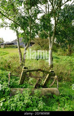 Eine verlassene alte Farmwalze, die auf einem überwucherten Derbyshire-Feld liegt. Stockfoto