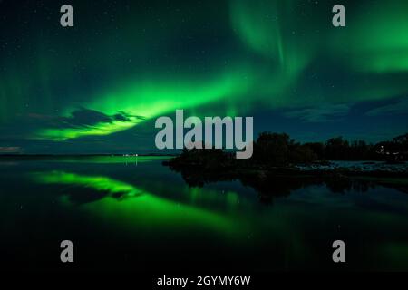 Aurora Borealis am See Mývatn Stockfoto