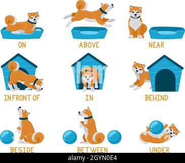 Englisch lernen Präpositionen mit niedlichen Cartoon Welpen Hund. Niedlicher akita-Hund oben, hinten, unten, in der Nähe von Hundebett oder Hundehütte Illustration Set. Englisch Stock Vektor