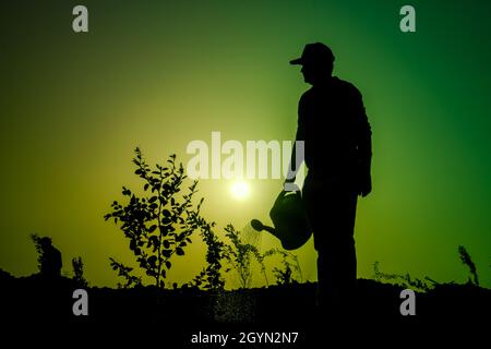 Silhouette - Baumplantage-Projekt in der Wüste Stockfoto