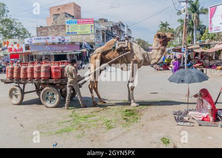 CHITTORGARH, INDIEN - 15. FEBRUAR 2017: Kamel zieht Gasflaschen in Chittorgarh, Rajasthan, Indien Stockfoto