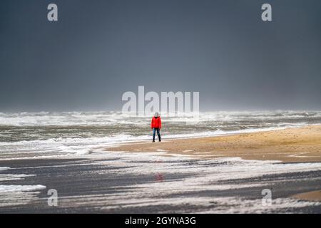 Spaziergänger am Strand, dunkle Sturmwolken, raues Meer, Herbst an der Nordsee in Nordholland, zwischen den Städten Egmond aan Zee und Bergen aan Zee, Stockfoto