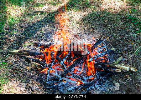 Kohlen Im Feuer . Lagerfeuer im Wald Stockfoto