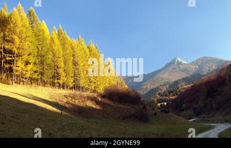 Herbstliche Ansicht des Berges Klak, Mala Fatra aus Strazovske vrchy, Slowakei Stockfoto