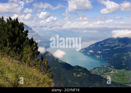 Thunersee (Thunersee) in der Ferne, vom Panoramaweg um die Höhen der Schynige Platte: Berner Oberland, Schweiz Stockfoto